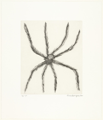 Louise Bourgeois. Hairy Spider. 2001