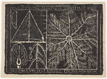 Louise Bourgeois. Pinus Sylvestris. 1938-1943