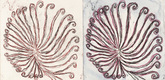 Louise Bourgeois. Untitled. 2005