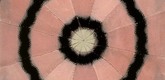 Louise Bourgeois. Untitled, no. 6 of 12, from the portfolio, Dawn. 2006