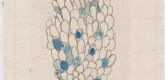 Louise Bourgeois. Swaying. 2006
