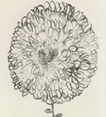 Louise Bourgeois. Untitled, plate 1 of 10, from the portfolio, Homely Girl, A Life. 1992