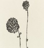 Louise Bourgeois. Untitled, plate 2 of 10, from the portfolio, Homely Girl, A Life. 1992