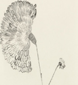 Louise Bourgeois. Untitled, plate 3 of 10, from the portfolio, Homely Girl, A Life. 1992