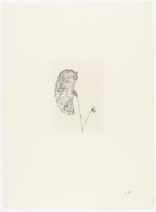 Louise Bourgeois. Untitled, plate 3 of 10, from the portfolio, Homely Girl, A Life. 1992