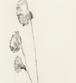 Louise Bourgeois. Untitled, plate 4 of 10, from the portfolio, Homely Girl, A Life. 1992
