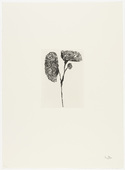 Louise Bourgeois. Untitled, plate 5 of 10, from the portfolio, Homely Girl, A Life. 1992