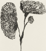Louise Bourgeois. Untitled, plate 5 of 10, from the portfolio, Homely Girl, A Life. 1992