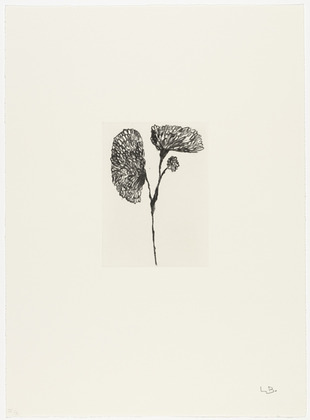 Louise Bourgeois. Untitled, plate 5 of 10, from the portfolio, Homely Girl, A Life. 1992