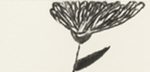Louise Bourgeois. Untitled, plate 6 of 10, from the portfolio, Homely Girl, A Life. 1992