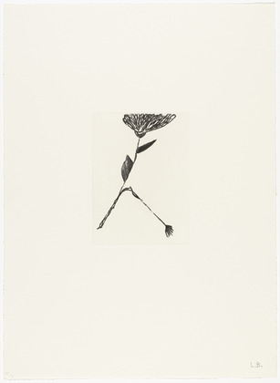 Louise Bourgeois. Untitled, plate 6 of 10, from the portfolio, Homely Girl, A Life. 1992