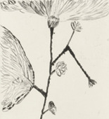Louise Bourgeois. Untitled, plate 7 of 10, from the portfolio, Homely Girl, A Life. 1992