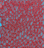 Louise Bourgeois. Crochet I (Le Cauchemar de Hayter). 1997-1998