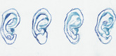Louise Bourgeois. Ears. 2003