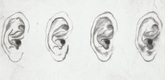 Louise Bourgeois. Ears. 2004