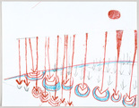 Louise Bourgeois. Il Pleut Sur La Route Comme Il Pleut Dans Mon Coueur. 2002