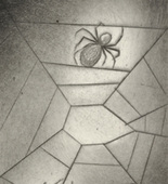Louise Bourgeois. Untitled, plate 4 of 9, from the portfolio, Ode &agrave; Ma M&egrave;re. 1995