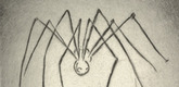 Louise Bourgeois. Untitled, plate 7 of 9, from the portfolio, Ode &agrave; Ma M&egrave;re. 1995