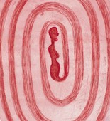 Louise Bourgeois. Untitled. 2004