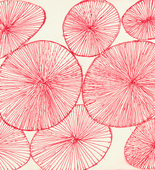 Louise Bourgeois. Untitled No. 2. 2001-2003