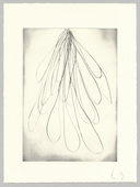 Louise Bourgeois. Nature Study. 2009