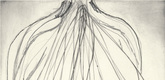 Louise Bourgeois. Nature Study. 2009