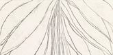 Louise Bourgeois. The Smell of Eucalyptus (#1). 2006