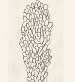 Louise Bourgeois. Swaying. 2006