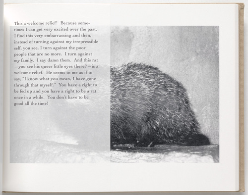 Louise Bourgeois. Untitled, no. 30 of 69, from the illustrated book, Album. 1994