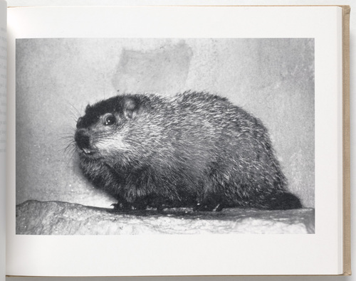 Louise Bourgeois. Untitled, no. 30 of 69, from the illustrated book, Album. 1994